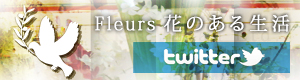link_banner300_fleurs_twitter.jpg